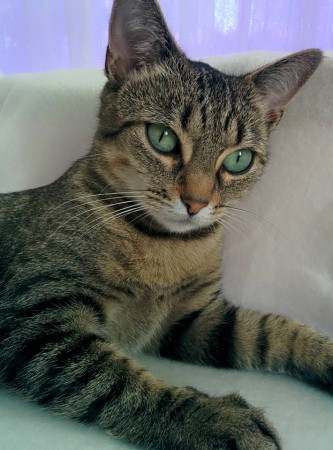 Kimie